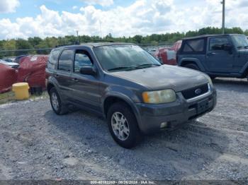  Salvage Ford Escape