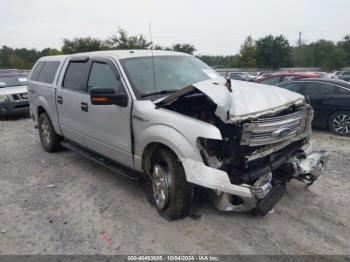  Salvage Ford F-150