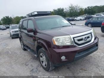  Salvage Honda Pilot