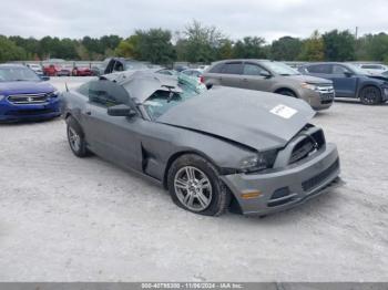  Salvage Ford Mustang