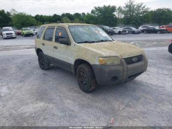  Salvage Ford Escape