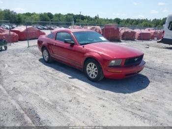 Salvage Ford Mustang
