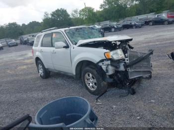 Salvage Ford Escape