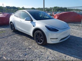  Salvage Tesla Model Y