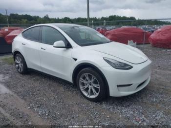  Salvage Tesla Model Y