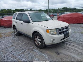  Salvage Ford Escape