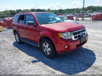  Salvage Ford Escape