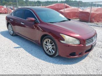 Salvage Nissan Maxima
