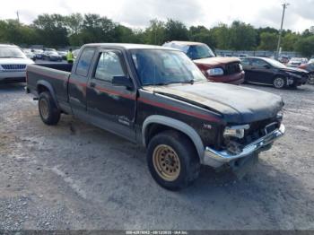  Salvage Dodge Dakota