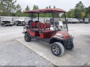  Salvage Icon Ev Golf Cart