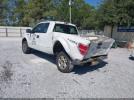 Ford F-150 Image 3