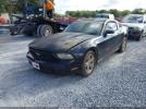 Ford Mustang Image 2