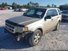 Ford Escape Xlt Image 2