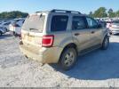 Ford Escape Xlt Image 6