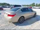 Honda Accord Sport Image 6
