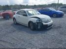 Volkswagen Beetle Image 1