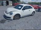 Volkswagen Beetle Image 12