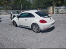 Volkswagen Beetle Image 11