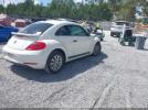 Volkswagen Beetle Image 16