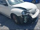 Volkswagen Beetle Image 14