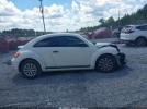 Volkswagen Beetle Image 6