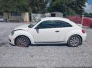 Volkswagen Beetle Image 17