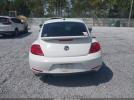 Volkswagen Beetle Image 4