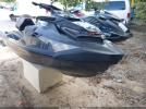 Sea-Doo Seadoo Image 1