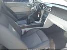 Ford Mustang Image 3