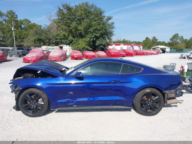 Ford Mustang Ecoboost Image 15