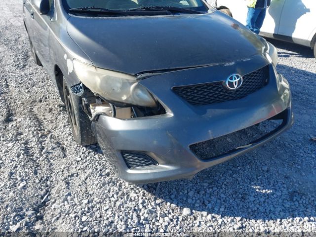 Toyota Corolla Le Image 10