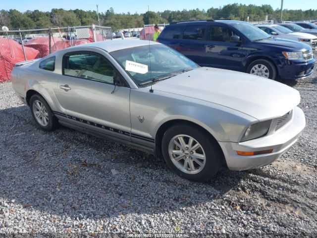 Ford Mustang Image 1