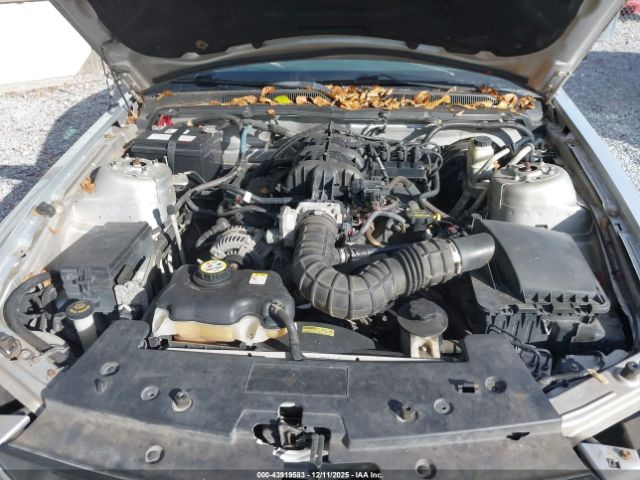 Ford Mustang Image 11