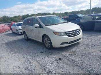  Salvage Honda Odyssey