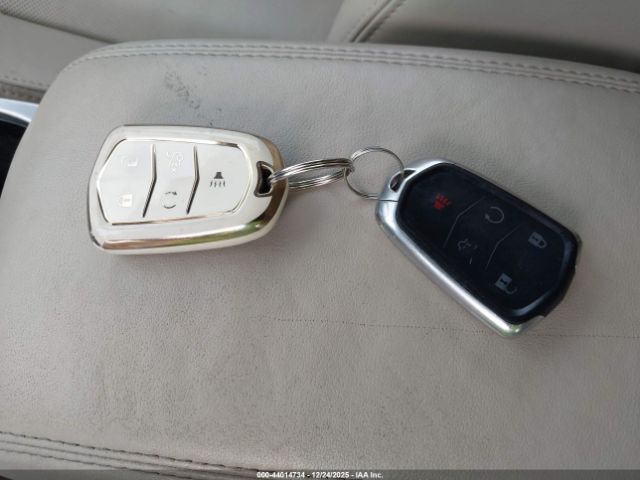 Cadillac SRX Luxury Collection Image 10