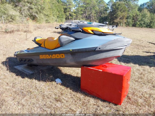 Sea-Doo Seadoo Image 1