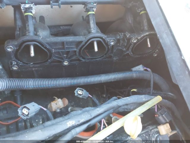 Sea-Doo Seadoo Image 2