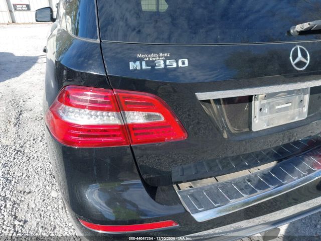 Mercedes-Benz M-Class Image 7